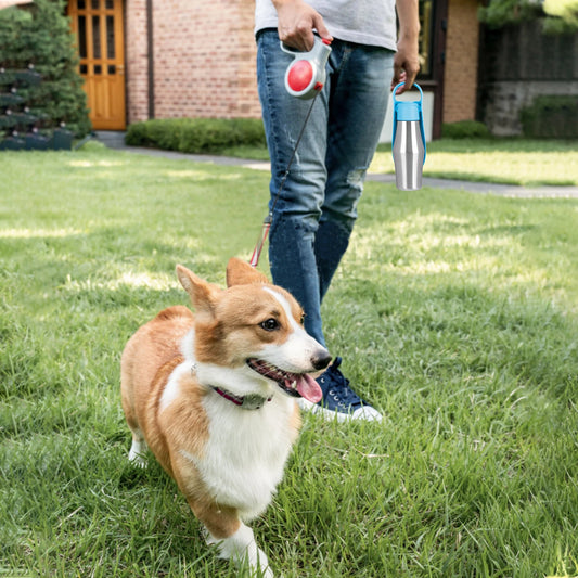 Foldable Dog Water Bottle Dispenser