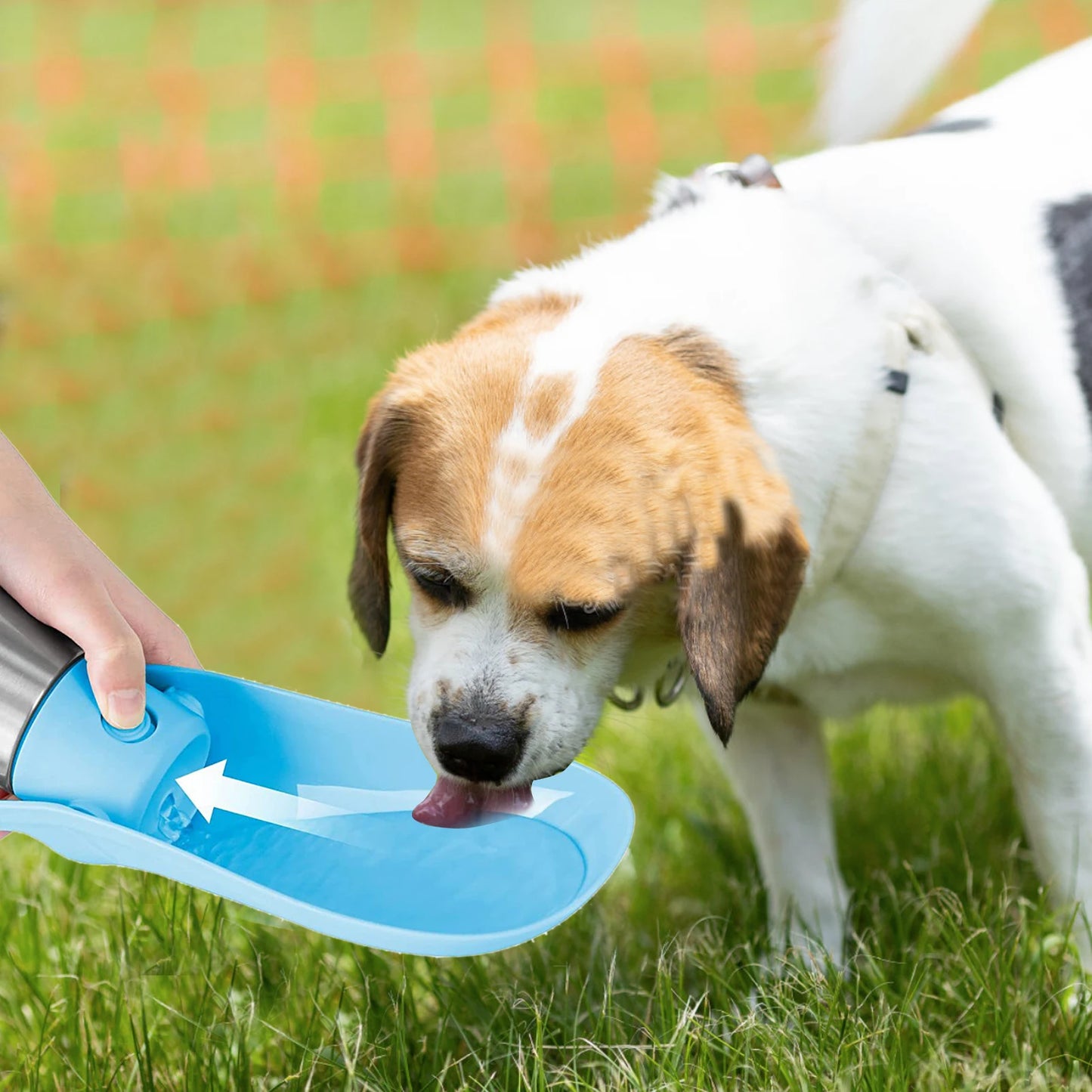 Foldable Dog Water Bottle Dispenser